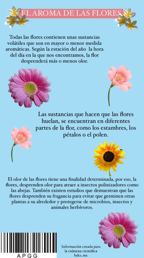 131c5873-831e-4605-b327-af68b46ba470