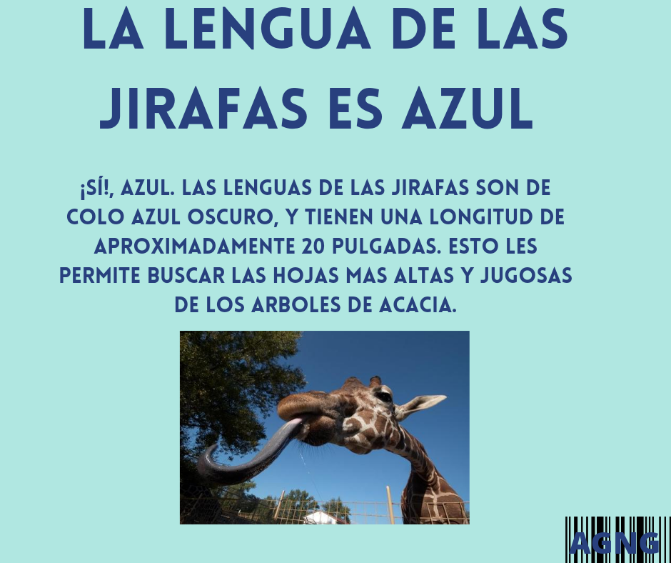 20220531_190619_0000