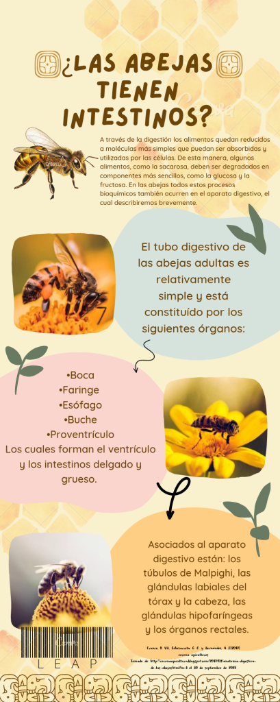 20220930_181209_0000