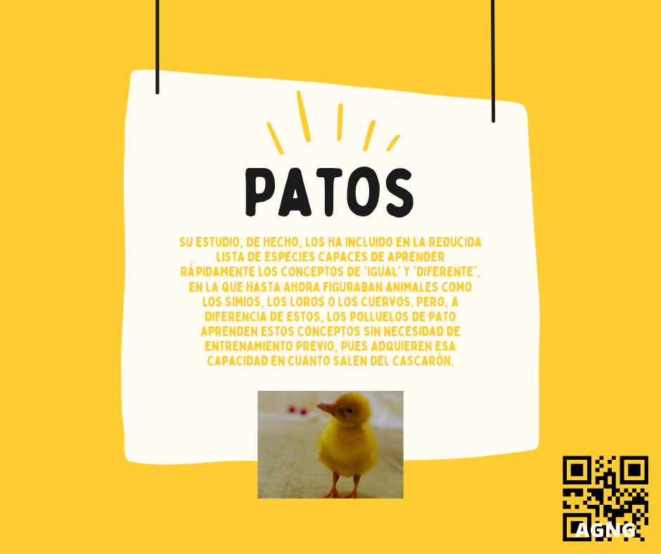 20221111_180539_0000