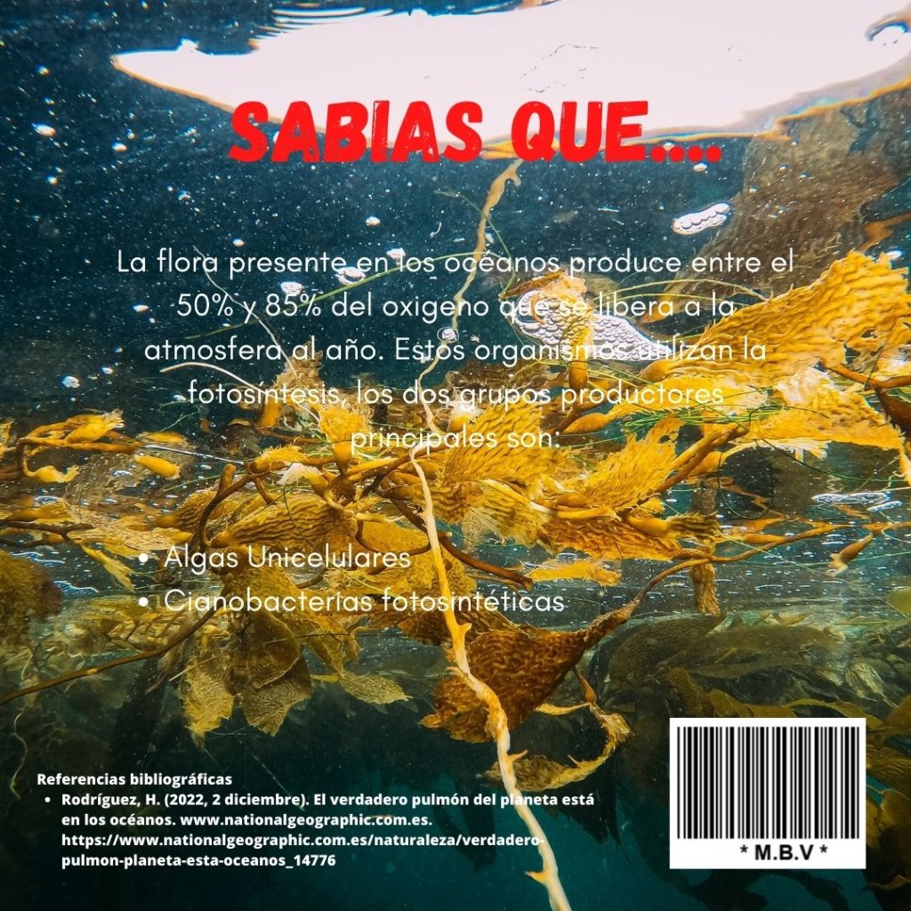 8d2b28b2-b280-4f8d-9b82-5770ee3cfb77