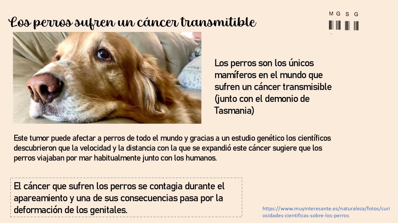 aportacion1.405388_page-0001