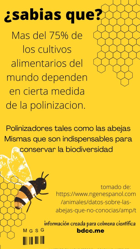 aportacion2.mariagisellesanchezgarcia.cne-b