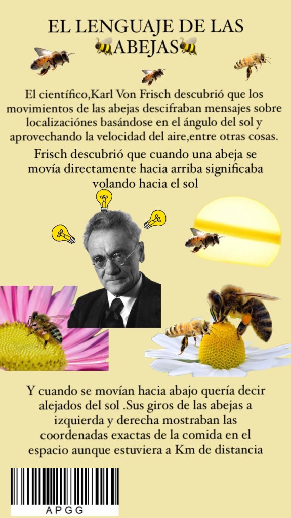 e3b6cb2d-0913-4b24-8def-a6389ee9cc4b