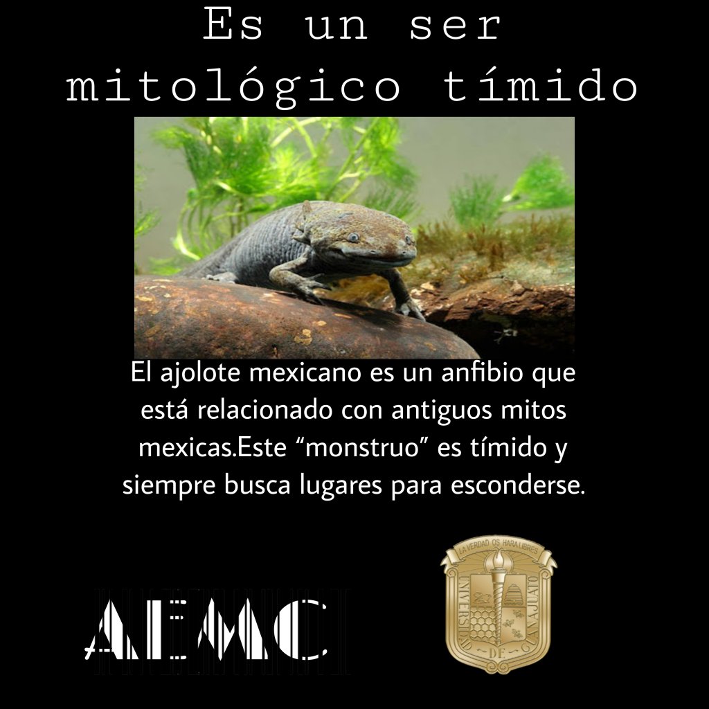 picsart_22-10-08_17-09-07-276